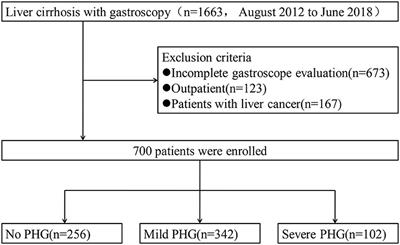 A Nomogram for Predicting Portal Hypertensive Gastropathy in Patients With Liver Cirrhosis: A Retrospective Analysis